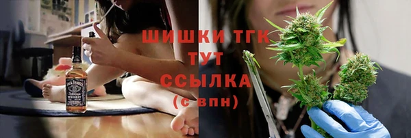 дживик Арсеньев