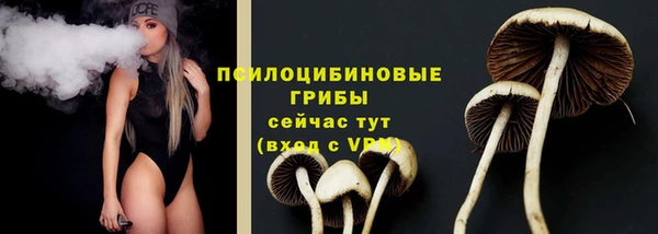 дживик Арсеньев