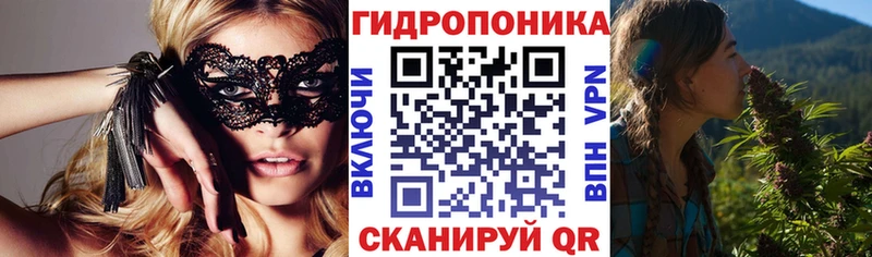 Бошки Шишки семена что такое наркотик Балтийск